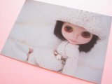 Photo: Cute Blythe Doll Postcard *Knitwear