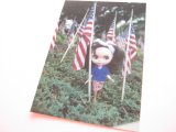 Photo: Cute Blythe Doll Postcard *Flags